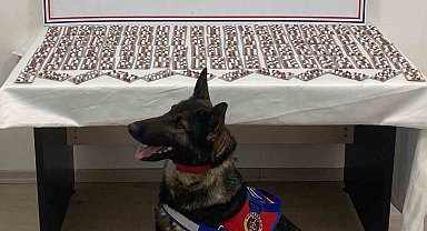 Uyuşturucuyla yakalanan şahıs utuklandı