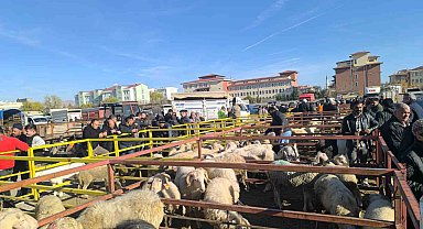 Uzun süredir kapalı olan canlı hayvan pazarı açıldı