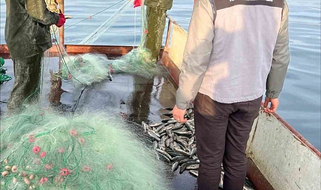 Van Gölü'nde balıkçılık denetimi yapıldı