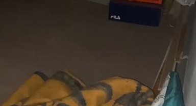 Van'da 12,5 yıl kesinleşmiş hapis cezası bulunan müdür gizli bölmede yakalandı