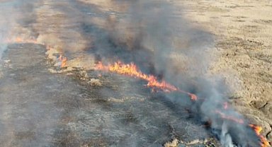 Van'da sazlık yangını