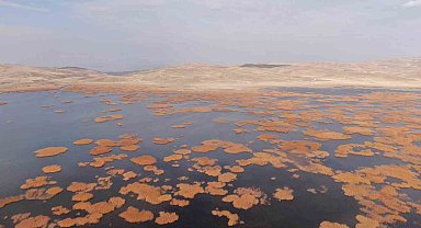 Van'da tarih ve doğa buluşması: Sonbaharın son haftasında kartpostallık manzaralar oluştu