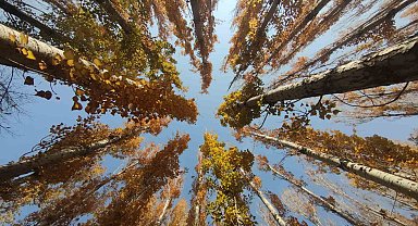 Van'ın sonbahar güzelliği: Van Kalesi ve Atatürk Kültür Parkı ziyaretçilerin gözdesi oldu