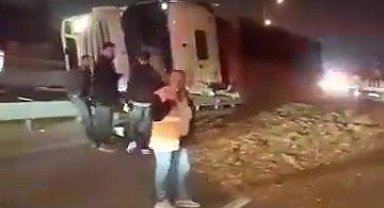 Virajı alamayan yonga yüklü tır devrildi