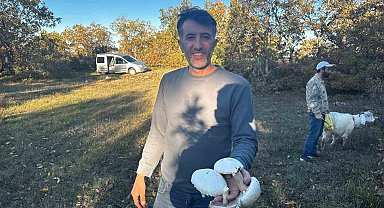 Yağışlar sonrası ormanlarda mantar patlaması yaşandı