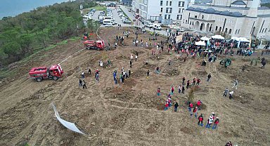 Yalova'da fidanlar toprakla buluşturuldu