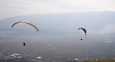 Yanan ormanlar için gökyüzünden paraşütle tohum yağdı