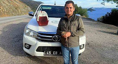 Yasadışı Kınalı Keklik satışına 28 bin TL ceza