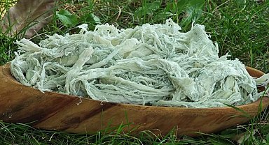 Yayladan sofraya doğal antibiyotik: Erzurum'un göğermiş peyniri