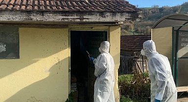 Yığılca'da kahverengi kokarca ile kışlak mücadelesi devam ediyor