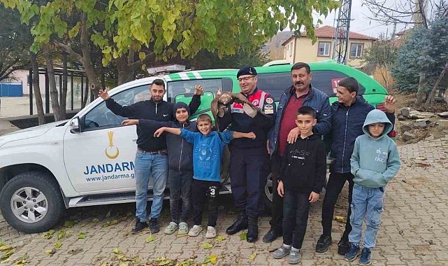 Yozgat'ta bulunan yaralı kızıl şahin çocukların ilgi odağı oldu