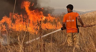 Yüksekova kuş cenneti alevlere teslim: Yangın kontrol altına alınamıyor