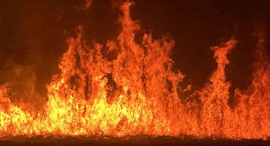 Yüksekova'da kuş cenneti Nehil Sazlığı'ndaki yangın yerleşim yerlerini tehdit ediyor