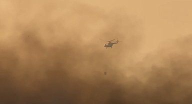 Yüksekova'nın kuş cennetindeki yangına havadan müdahale