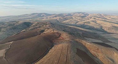 Yüzlerce ağacın kesilmesine vatandaşlardan tepki: "40 yılda büyüdü, 4 gün de yok edildi"