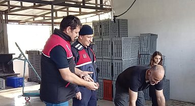 Zeytin hırsızlıklarının karşı denetim