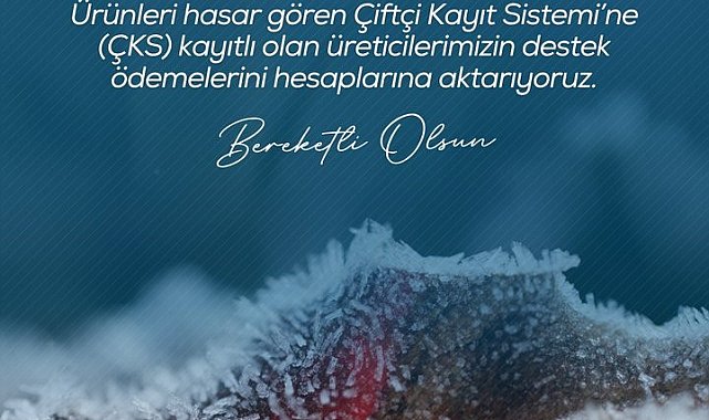Zirai don nedeniyle ürünleri hasar gören çiftçilere 798 milyon lira destek ödemesi yapıldı