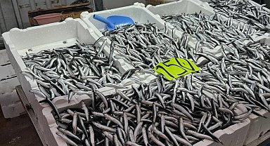 Zonguldak'ta hava şartları hamsi fiyatını yükseltti
