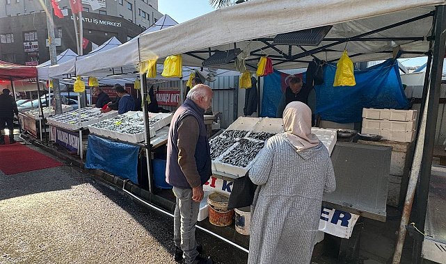 Zonguldak'ta tezgahtaki hamsi yerini diğer çeşit balıklara bırakıyor