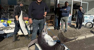 138 kiloluk kılıç balığı ilgi odağı oldu