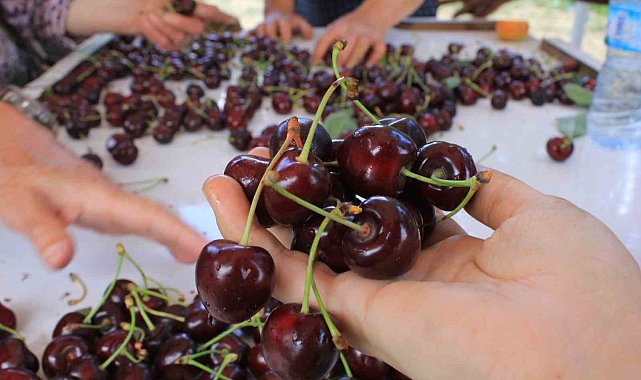 15 Aralık'ta okullarda "Coğrafi İşaret Günü" kutlanacak