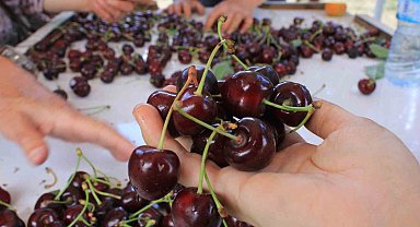 15 Aralık'ta okullarda "Coğrafi İşaret Günü" kutlanacak