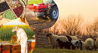 2 milyar TL'lik tarımsal destek hesaplarda