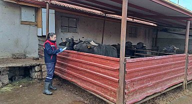 'Halk Elinde Anadolu Mandasının Islahı Projesi' devam ediyor