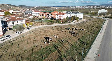 572 fidanlı koruluk Akhisan'a nefes olacak