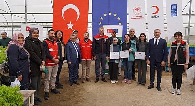 Adana'da topraksız marul yetiştiriciliği başladı