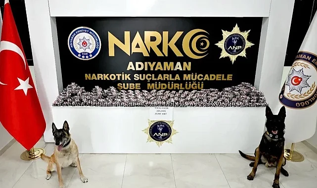 Adıyaman'da asayiş ve narkotik operasyonları: 55 şüpheli yakalandı, 9 tutuklama