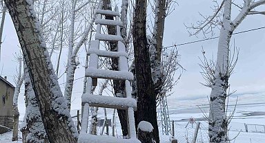 Ağrı beyaza büründü