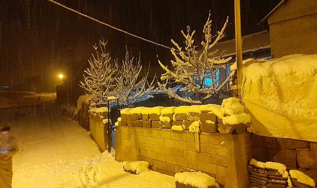 Ahlat'ta kar yağışı