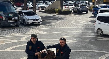 Akşehir'de uyuşturucu operasyonu: 1 tutuklama