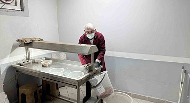 Alaplı'da fındık kavurma tesisleri taleplere yetişemiyor