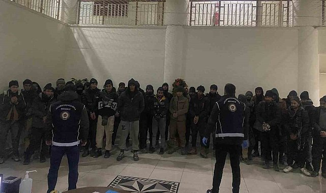 Amasya'da çinko yüklü tırdan 37 kaçak göçmen çıktı
