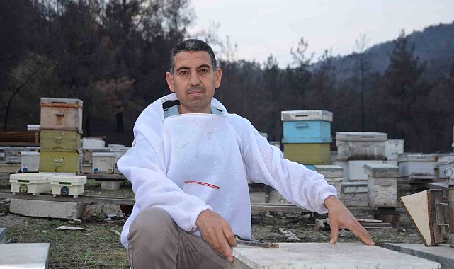 Ana arı üretiminde büyük başarı: Bir arı kovanıyla hobi olarak başladı, şimdi Türkiye'nin her yerine koloni gönderiyor