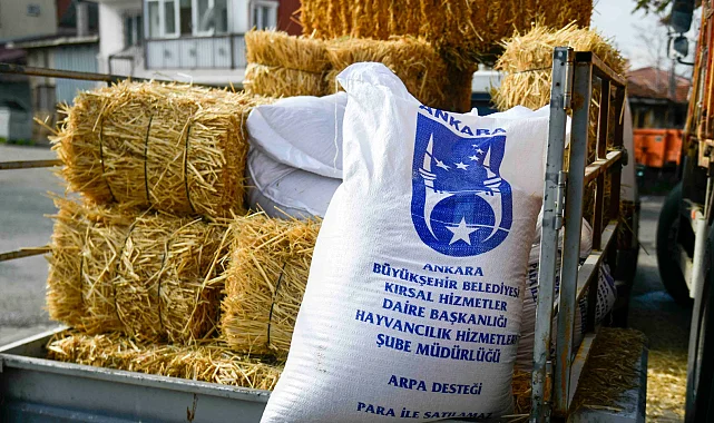 Ankara'da mandacılara yüzde yüz hibeli yem desteği