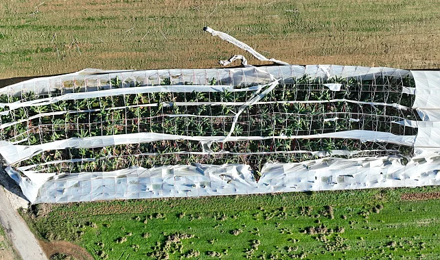 Antalya Büyükşehir'den hortum felaketinde çiftçiye destek