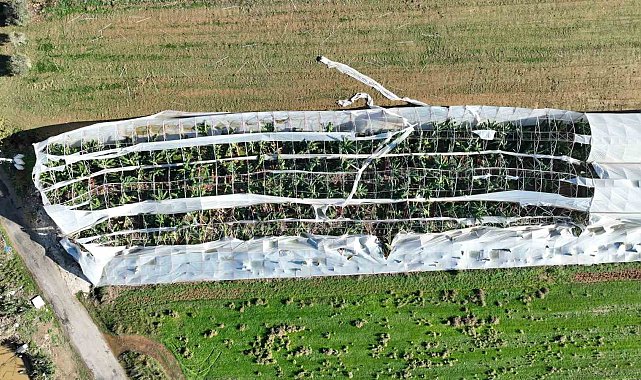 Antalya'da hortumun seralara verdiği zararın boyutu gün yüzüne çıktı
