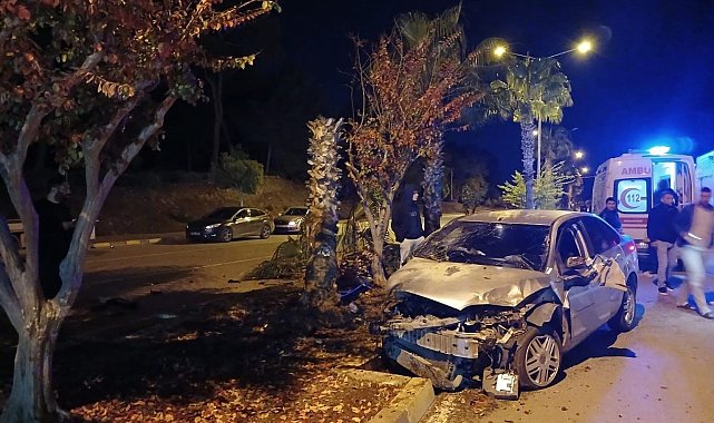 Antalya'da palmiyeye çarpan otomobilin sürücüsü yaralandı