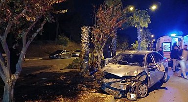 Antalya'da palmiyeye çarpan otomobilin sürücüsü yaralandı