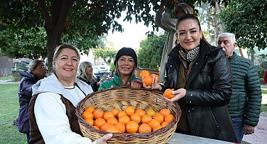 Antalya'nın turunçları kadın emeğiyle sofralara uzanıyor