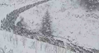 Anzer Yaylası'na kar yağdı, her yer beyaza büründü