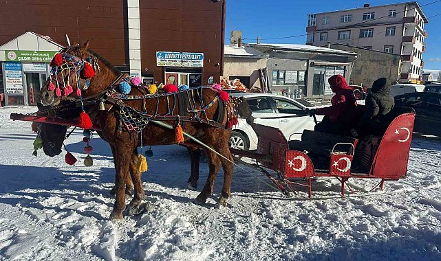 Atlı kızaklar donan göl için hazırlandı
