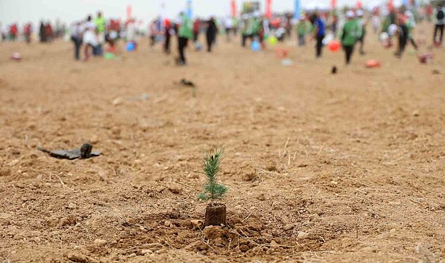 ATÜ yeşil kampüs olma yolunda ilerliyor: Dikilen fidan sayısı 22 bin 500'ü buldu