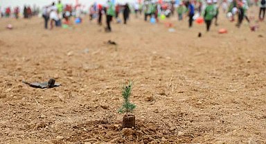 ATÜ yeşil kampüs olma yolunda ilerliyor: Dikilen fidan sayısı 22 bin 500'ü buldu