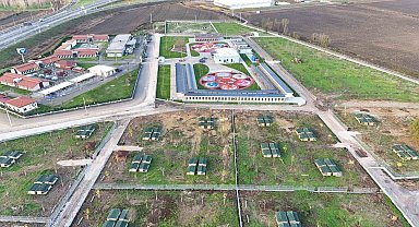 Avrupa standartlarında tesis: Sakarya Büyükşehir, sokak hayvanları için yeni bir dünya kurdu