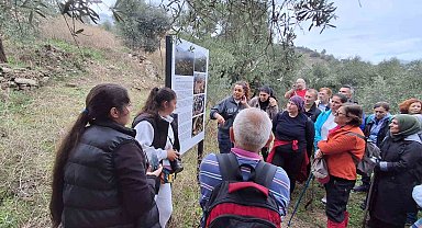Aydın Büyükşehir'in doğa yürüyüşleri devam ediyor