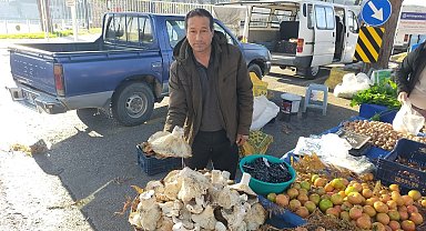 Aydın'daki dev mantarlar pazarda ilgi odağı oldu